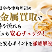 画像546